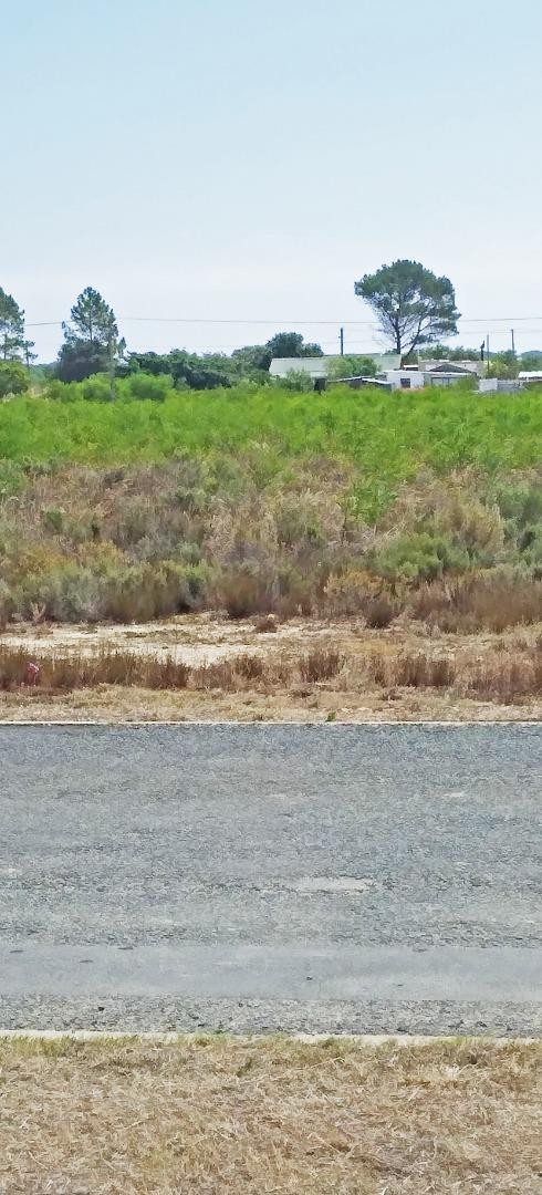 0 Bedroom Property for Sale in Fisherhaven Western Cape